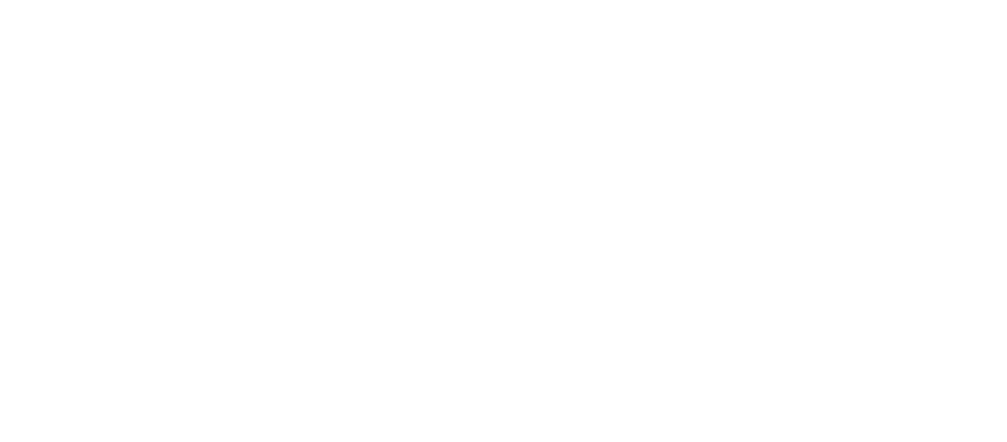 APS Besser logo