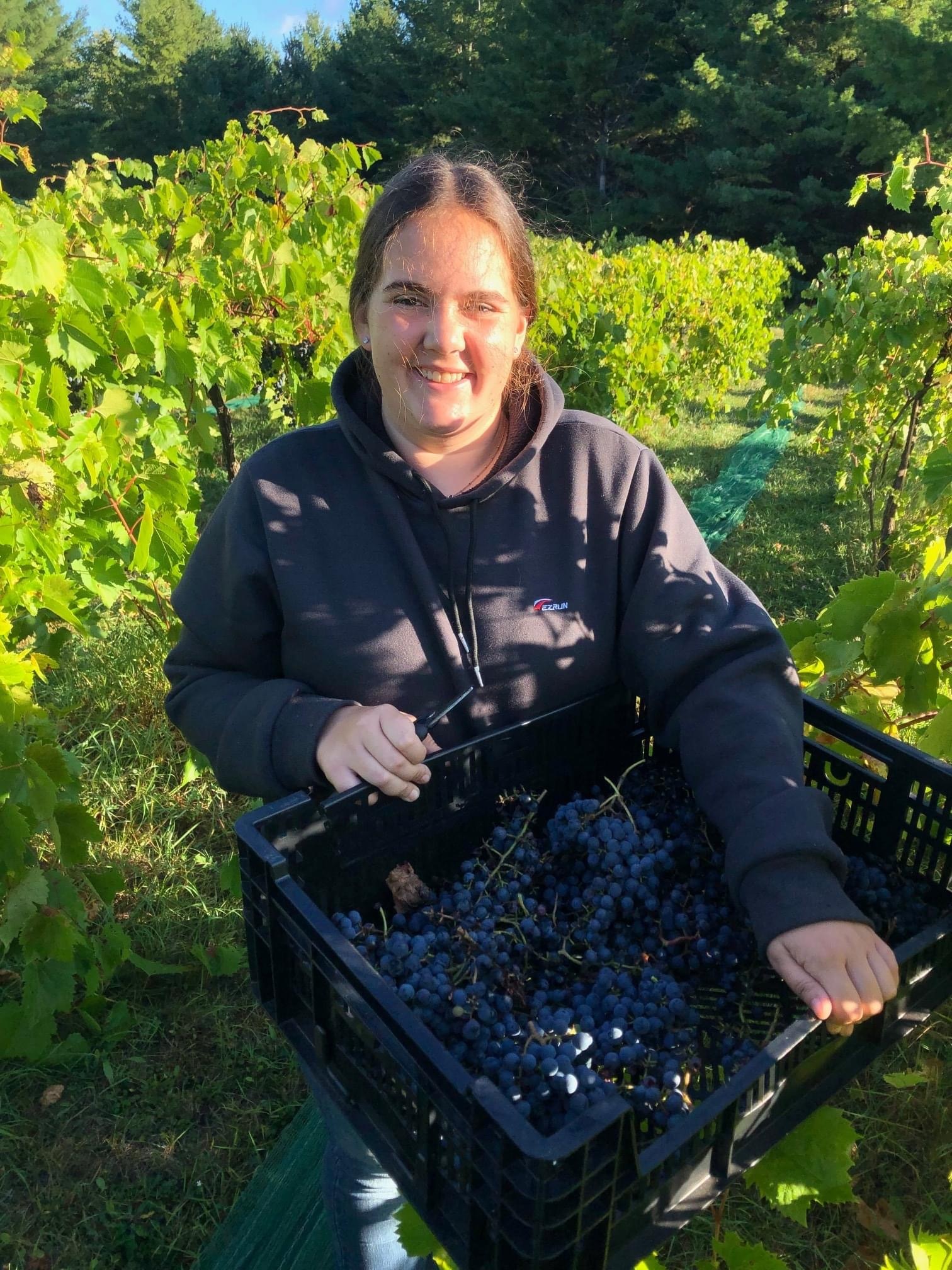 Student at a grape farm